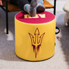 Arizona State Sun Devils Goldie