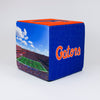 Florida Gators Football Ottoman