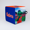 Florida Gators Football Ottoman